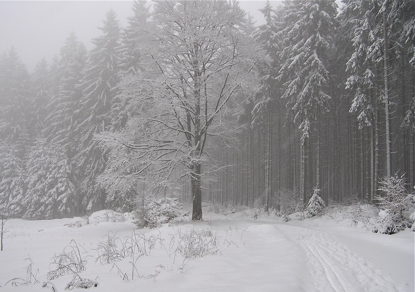 hořický hřeben, zima 2006